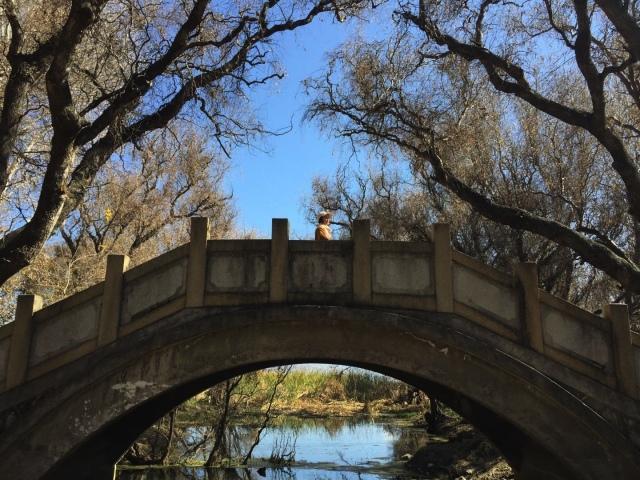 大理研學(xué)行程--這次我們帶你去見(jiàn)不一樣的大理！