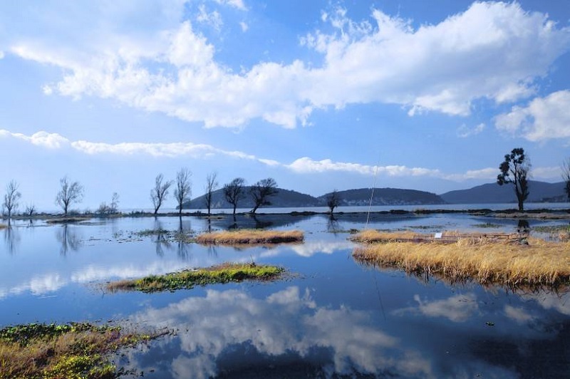 青少年勵(lì)志夏令營