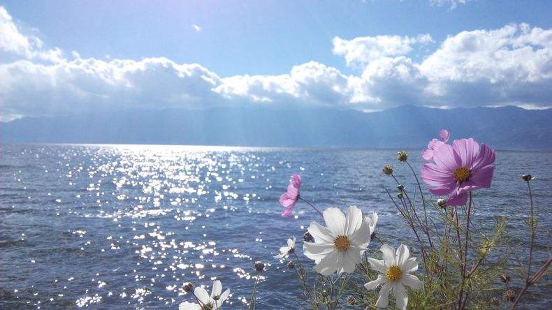 天行大理沖心智夏令營課程能對青少年心智發展的幫助哪些？