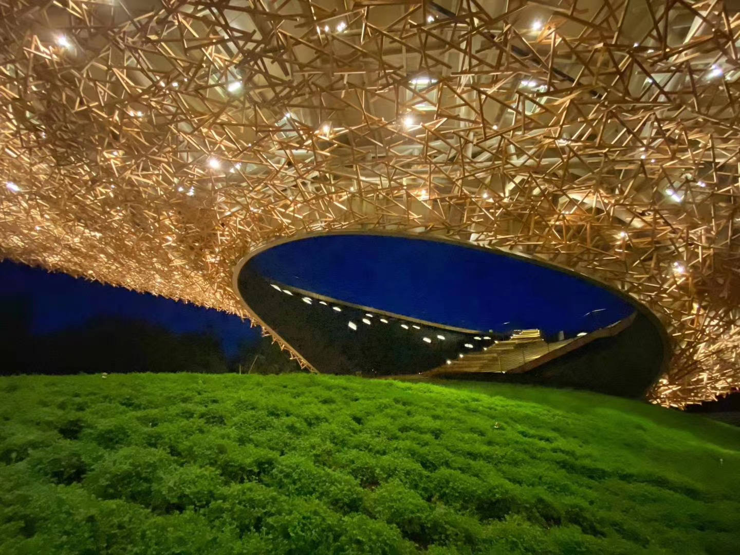 大理?xiàng)铥惼即髣≡? width=