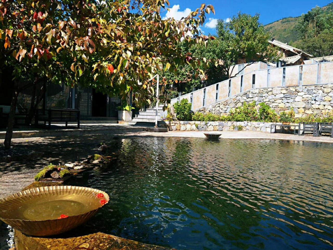 大理洱源鳳羽稻田劇場(chǎng)