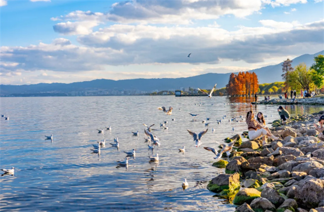 【美麗大理】冬天的洱海生態(tài)廊道，美出新高度