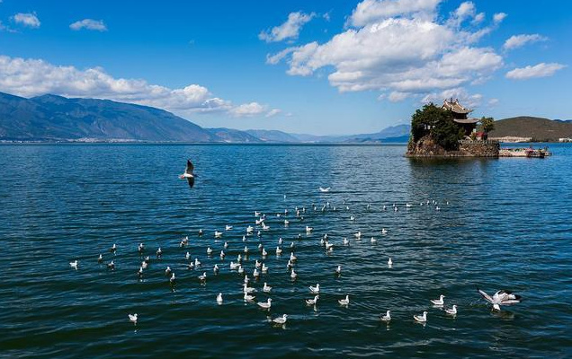 大理會務公司：大理秋日美食圖鑒！這份“貼秋膘”指南快收藏！