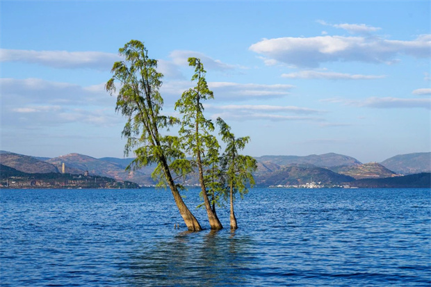 云南旅游,云南旅行社,云南團(tuán)建公司,云南策劃公司,云南會(huì)議會(huì)展,云南旅游地接,大理旅游,大理旅行社,大理團(tuán)建公司,大理策劃公司,大理會(huì)議會(huì)展：避暑，為什么要去大理？