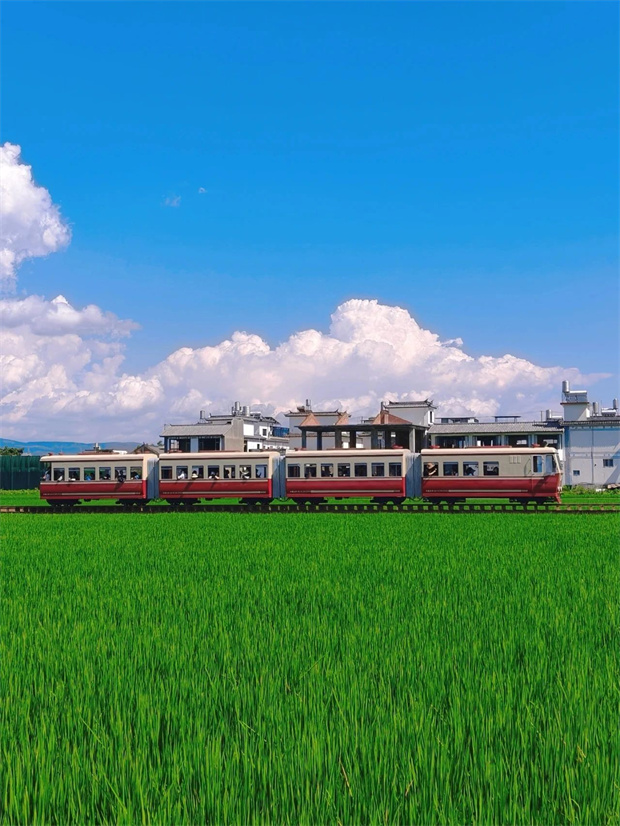 大理旅游,大理旅行社,大理團(tuán)建公司,大理策劃公司,大理會(huì)議會(huì)展,云南旅游,云南旅行社,云南團(tuán)建公司,云南策劃公司,云南會(huì)議會(huì)展：坐上喜洲稻田小火車，一秒進(jìn)入動(dòng)漫畫卷