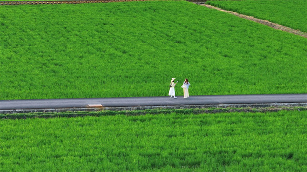 云南旅游,云南旅行社,云南團(tuán)建公司,云南策劃公司,云南會(huì)議會(huì)展,大理旅游,大理旅行社,大理團(tuán)建公司,大理會(huì)議會(huì)展：去大理，坐上那趟心愛的小火車